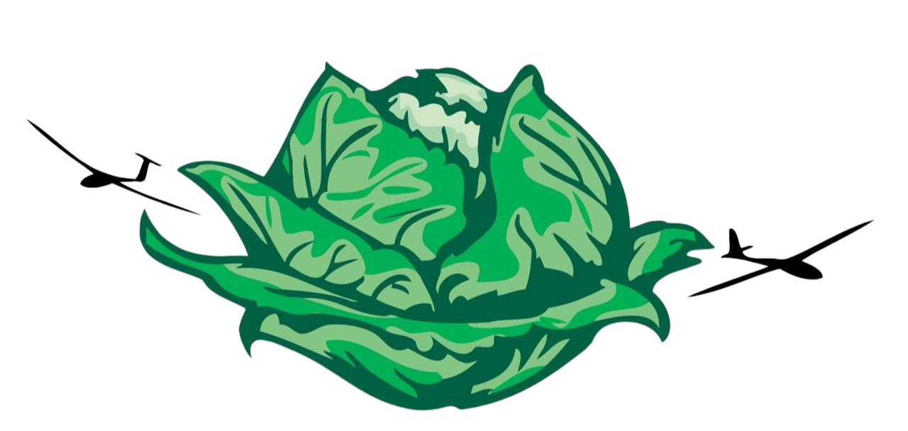 Kappes Streckenflugmeisterschaft